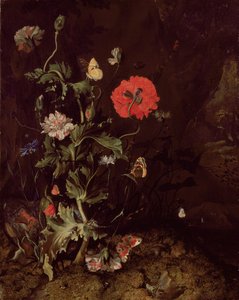 Naturaleza muerta en el suelo del bosque con flores y mariposas